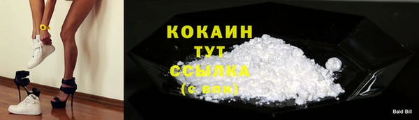 PSILOCYBIN Ветлуга