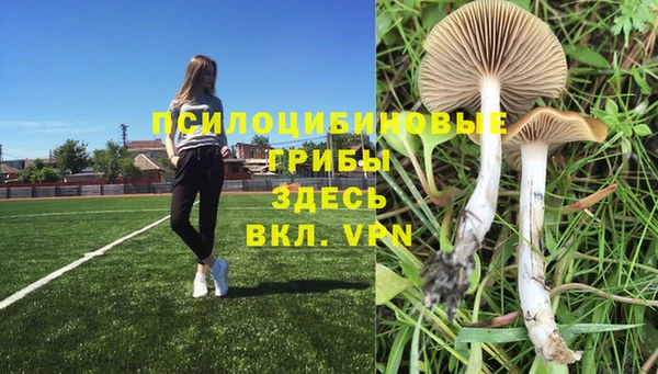 кокс Покровск