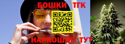 гашик Шебекино