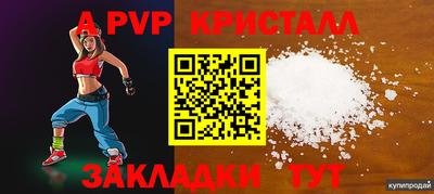 гашик Шебекино
