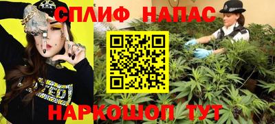 гашик Шебекино
