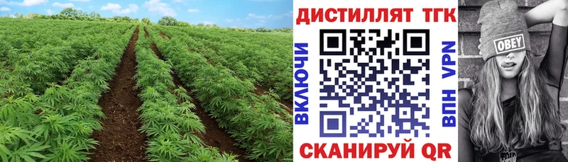 Дистиллят ТГК THC oil  где найти   Краснодар 