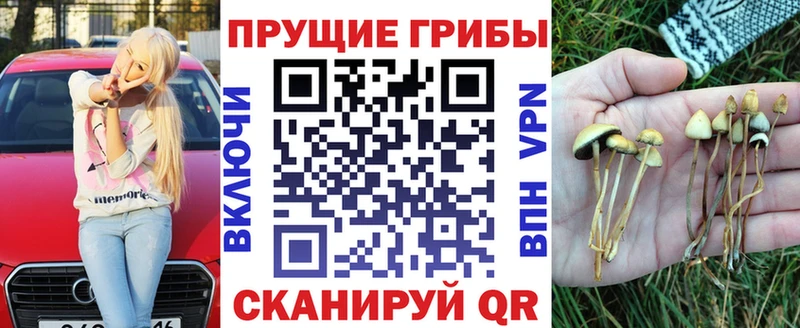 мега онион  как найти закладки  Краснодар  Галлюциногенные грибы Psilocybine cubensis 