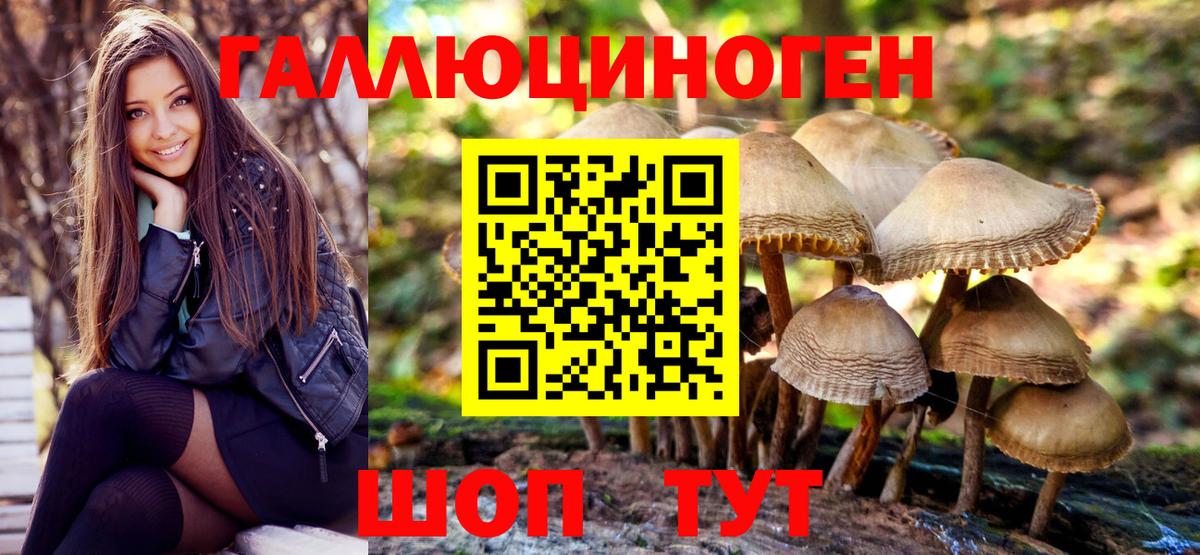Галлюциногенные грибы Psilocybe  Вход с VPN  Псилоцибиновые грибы Psilocybine cubensis  Краснодар 